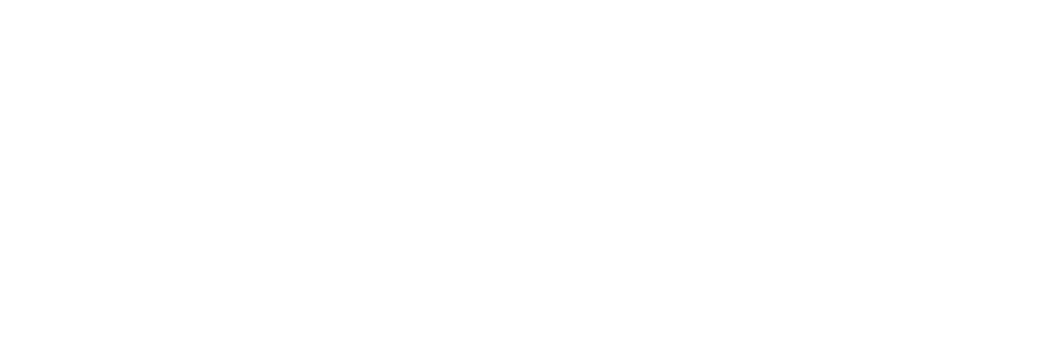 Primary wordmark reversed in white on a dark forest background